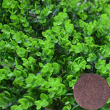 NEW Plant Grass Aquarium Fish Tank Plants Grass Landscaping Decoration