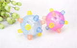 Flashing Dog Ball Jumping Joggle Crazy Football