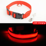 USB Charging Led Pet Anti-Lost Collar