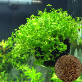 NEW Plant Grass Aquarium Fish Tank Plants Grass Landscaping Decoration