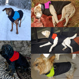 Waterproof Pet Dog Puppy Vest Jacket Chihuahua Clothing Warm Winter Dog Clothes Coat For Small Medium Large Dogs 4 Colors S-5XL