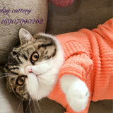 [MPK Cat Sweaters] New Design SWD Cat Sweater, Dog Sweater, Pet Sweater, Pet Winter Wear