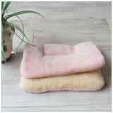 Winter Warm Pet Blanket Lovely Mattress Cushion