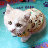 [MPK Store] 2018 New Design Cat Hoodies, Cute Cat Vest in 3 Designs, Get all 3 Colors!