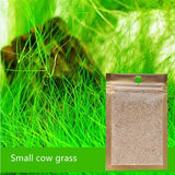 Aquarium Plants Seeds Water Aquatic Water Grass Live Plant