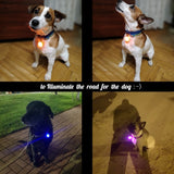 Pet Night Safety LED Flashlight Cat Dog Collar Leads Lights Glowing Pendant Necklace Pet Luminous Bright Glowing Collar in Dark