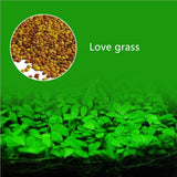 Aquarium Plants Seeds Water Aquatic Water Grass Live Plant