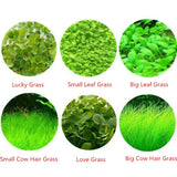 6 Pack Aquarium Plants Aquatic Water Grass Seeds Cow-hair LOVE Lucky Seeds Fish Tank Decoration Landscape Ornament