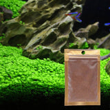 Aquarium Plant Seeds Water Aquatic Green Water Grass Decoration Ornament