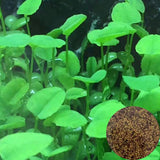 NEW Plant Grass Aquarium Fish Tank Plants Grass Landscaping Decoration