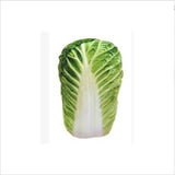Pet Creative Simulation Vegetable Chicken Bone Chew
