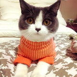 [MPK Cat Sweaters] New Design SWD Cat Sweater, Dog Sweater, Pet Sweater, Pet Winter Wear