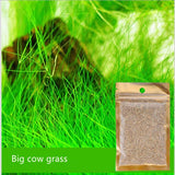 Aquarium Plants Seeds Water Aquatic Water Grass Live Plant