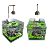 Aquarium Plant Seeds Water Aquatic Green Water Grass Decoration Easy Planting Fish Tank Landscape Ornament
