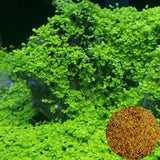NEW Plant Grass Aquarium Fish Tank Plants Grass Landscaping Decoration