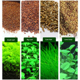 6 Pack Aquarium Plants Aquatic Water Grass Seeds Cow-hair LOVE Lucky Seeds Fish Tank Decoration Landscape Ornament