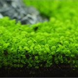 Nicrew Aquarium Plants Seeds Water Aquatic Water Grass Live Plant Fish Tank Decoration Landscape Ornament decor for fish tank