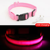 USB Charging Led Pet Anti-Lost Collar