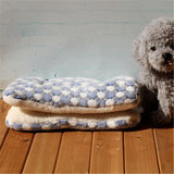 Winter Warm Pet Blanket Lovely Mattress Cushion