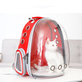 Pet Backpack Transparent Portable Capsule Shaped Carrier Bag