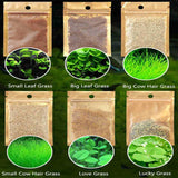 6 Pack Aquatic Water Grass Seeds Fish Tank Decoration Landscape Ornament
