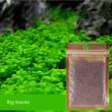 Aquarium Plants Seeds Water Aquatic Water Grass Live Plant