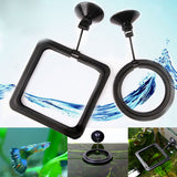 Fish Feeding Aquarium Fish Tank Ring Feeder Station Floating Food Water Plant Buoyancy Circle 1pcs Feeding Ring Aquarium Fish 