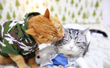 [MPK Cat Wear] Camouflage Pet Coat Dog Clothes Cute Pet Cotton Warm Winter Hooded Clothing for Dogs Sweatshirt Jacket