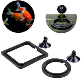 Fish Feeding Aquarium Fish Tank Ring Feeder Station Floating Food Water Plant Buoyancy Circle 1pcs Feeding Ring Aquarium Fish 