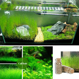 NEW Plant Grass Aquarium Fish Tank Plants Prospects Grass Seeding Grass Landscaping Plant Decoration DROP SHIPPING