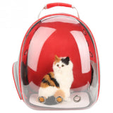 4 Colors Breathable Small Pet Carrier Bag Portable Pet Outdoor Travel Backpack Dog Cat Carrying Cage