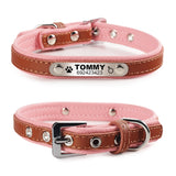 Personalized Engraved Pet Collar