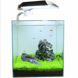 Nicrew Aquarium Plants Seeds Water Aquatic Water Grass Live Plant Fish Tank Decoration Landscape Ornament decor for fish tank