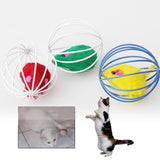 Cat Toys Hollow Funny Ball Feather Mouse Toys