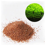 Fish Tank Aquarium Plant Seeds Aquatic Water Grass Decor Rock Lawn Garden Foreground Plant