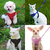 Mesh Cat Harness and Leash Set Rhinestone Breathable Cat Collar Harnesses Vest Pet Traction for Small Medium Dog Cat Puppy