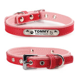 Personalized Engraved Pet Collar