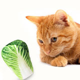 Pet Cat Toy Plush Canvas Bite Toys Catnip Cat Cite Vocal Creative Simulation Vegetable Chicken Bone Toy Chew Squeak Toy 41 A1