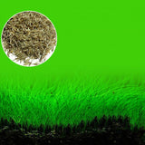 NEW Plant Grass Aquarium Fish Tank Plants Grass Landscaping Decoration