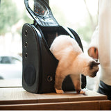 The capsule bag carrying pet cat breathable outdoor portable packaging bag dasyure pets puppy  travel backpack for dogs carrier