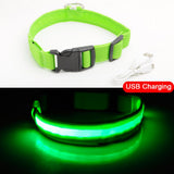 USB Charging Led Pet Anti-Lost Collar