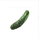 Pet Creative Simulation Vegetable Chicken Bone Chew