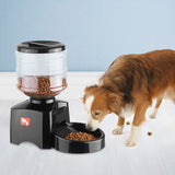 5.5L Programmable Automatic Pet Feeder for Dog Cat Electric Dry Food Dispenser Dish Bowl 1-3 Meal/Day with Timer Voice Recording