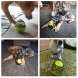 Pet Dog Toys Tumbler Leakage Ball Dog Bite Interactive Toy Removable Dogs Leakage Dispenser Chewing Products for Medium Dogs