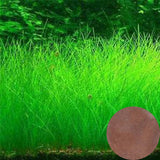 NEW Plant Grass Aquarium Fish Tank Plants Grass Landscaping Decoration