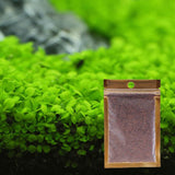 Aquarium Plant Seeds Water Aquatic Green Water Grass Decoration Ornament