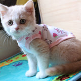 [MPK Store] 2018 New Design Cat Hoodies, Cute Cat Vest in 3 Designs, Get all 3 Colors!
