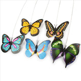 Cat Toys Electric Rotating Colorful Butterfly Funny Pet Seat ScratchToy For Cats Kitten Kitten dropshipping 8 x 5.5cm pet toys