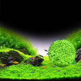 6 Pack Aquarium Plants Aquatic Water Grass Seeds Cow-hair LOVE Lucky Seeds Fish Tank Decoration Landscape Ornament