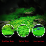 6 Pack Aquarium Plants Aquatic Water Grass Seeds Cow-hair LOVE Lucky Seeds Fish Tank Decoration Landscape Ornament